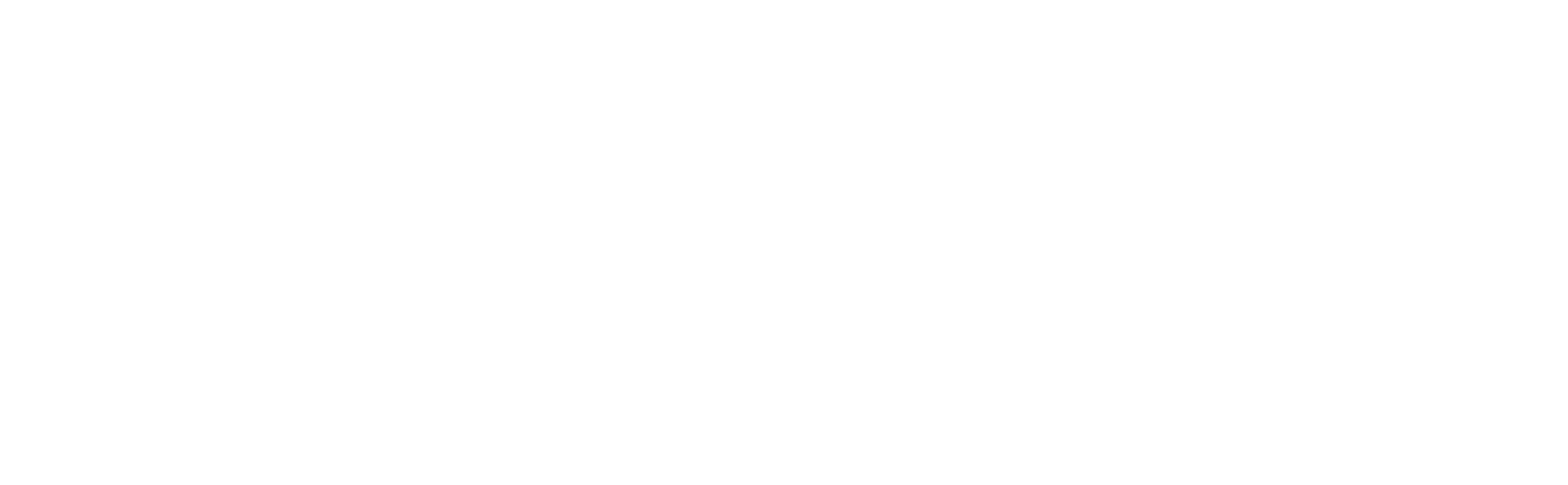 GreyParrot